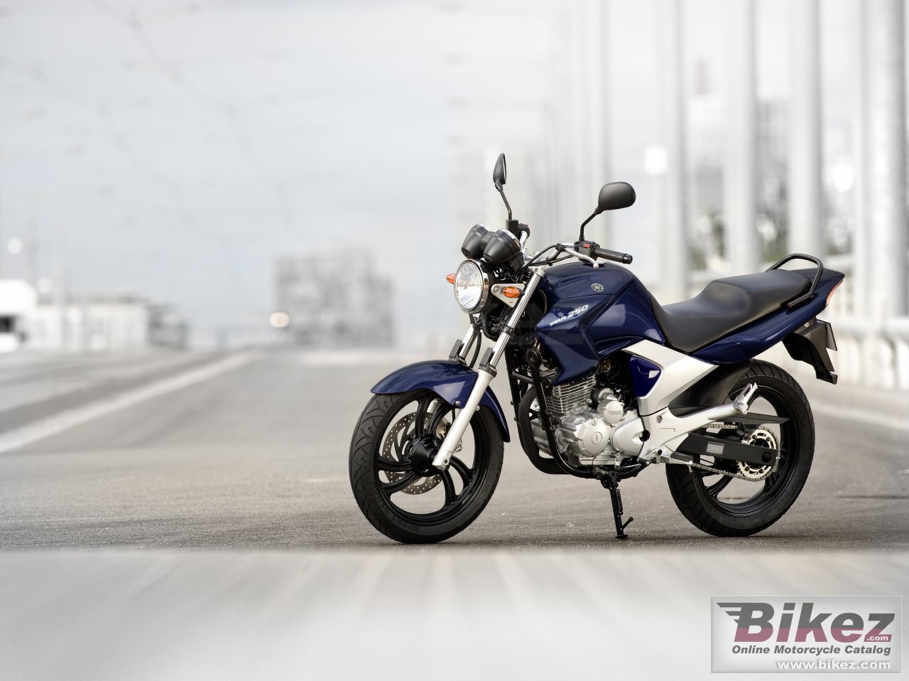 Cyleto Bremsbeläge VORNE Für Yamaha YBR250 (2007-2011) - Semi-metallisch & Langlebig